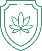 можно ли купить семена