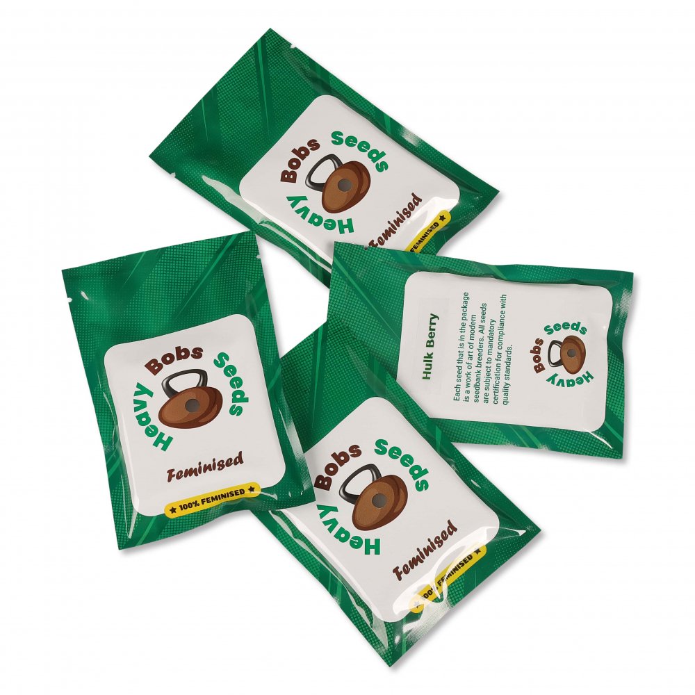 Семена конопли сорта Monster Gelato Fem. Семена конопли сорта Monster Gelato Fem.