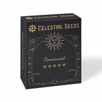 Семена конопли сорта Moonshine Cookies Fem. Семена конопли сорта Moonshine Cookies Fem.