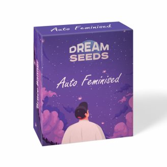 Семена конопли сорта Pink Runtz Auto Fem. Семена конопли сорта Pink Runtz Auto Fem.